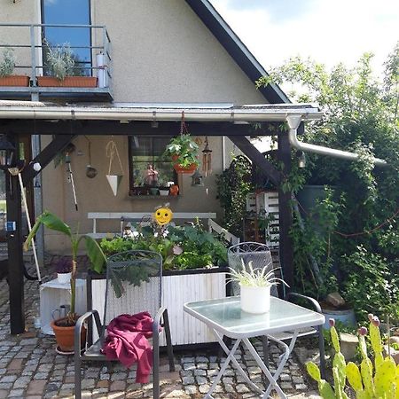 Ferienwohnung Auf Dem Land Rochlitz Ngoại thất bức ảnh
