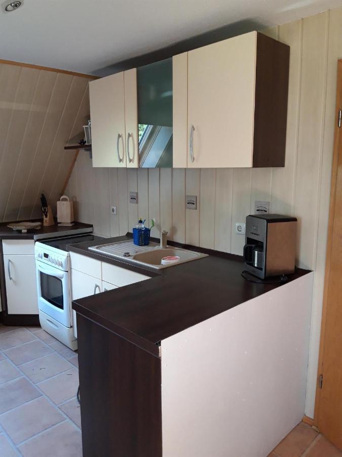 Ferienwohnung Auf Dem Land Rochlitz Ngoại thất bức ảnh